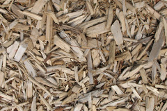 biomass boilers Kinuachdrachd